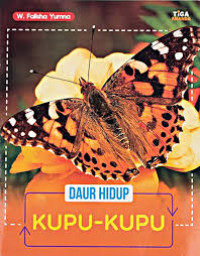 Daur Hidup Kupu-kupu